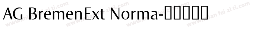 AG BremenExt Norma字体转换